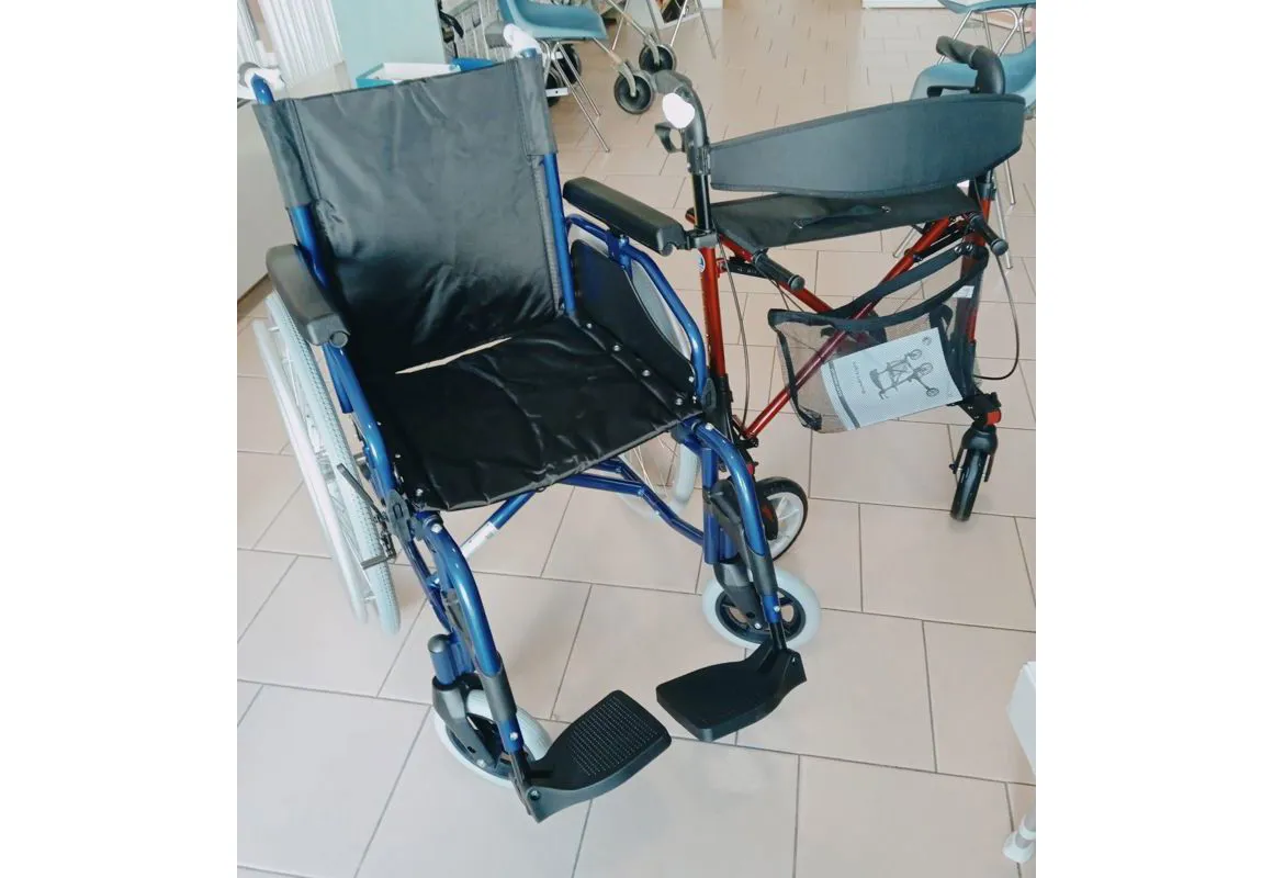 carrozzine per disabili