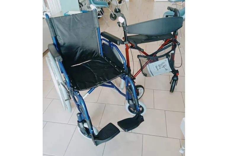 carrozzine per disabili